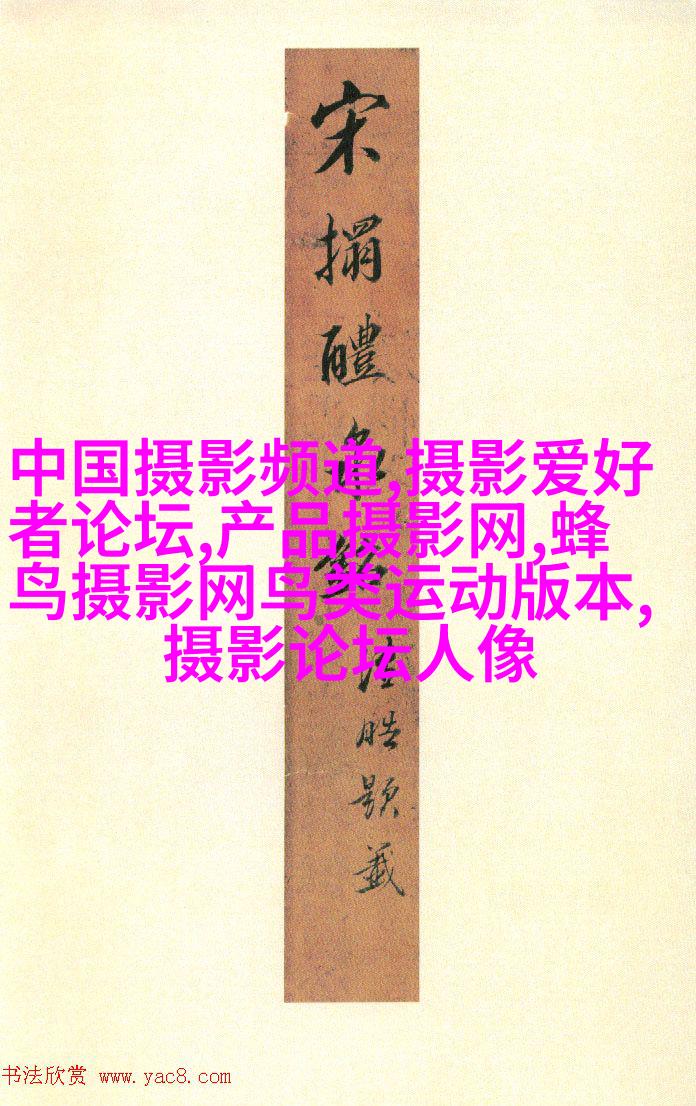温州男人纽约开摄影室