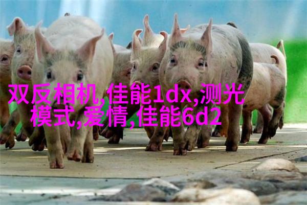 教你如何拍出美少女写真的陌生感