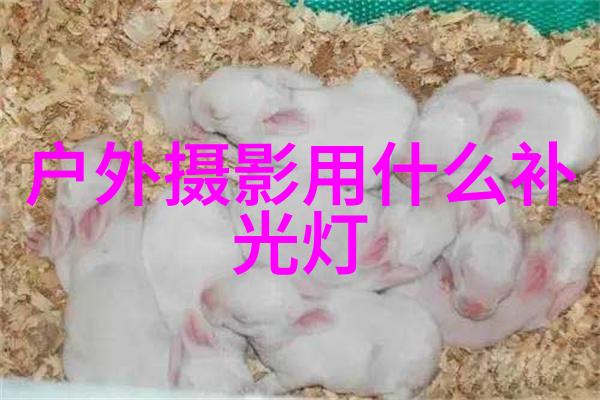 Telesin泰迅闪耀亮相第三十一届北京国际广播电影电视展览会