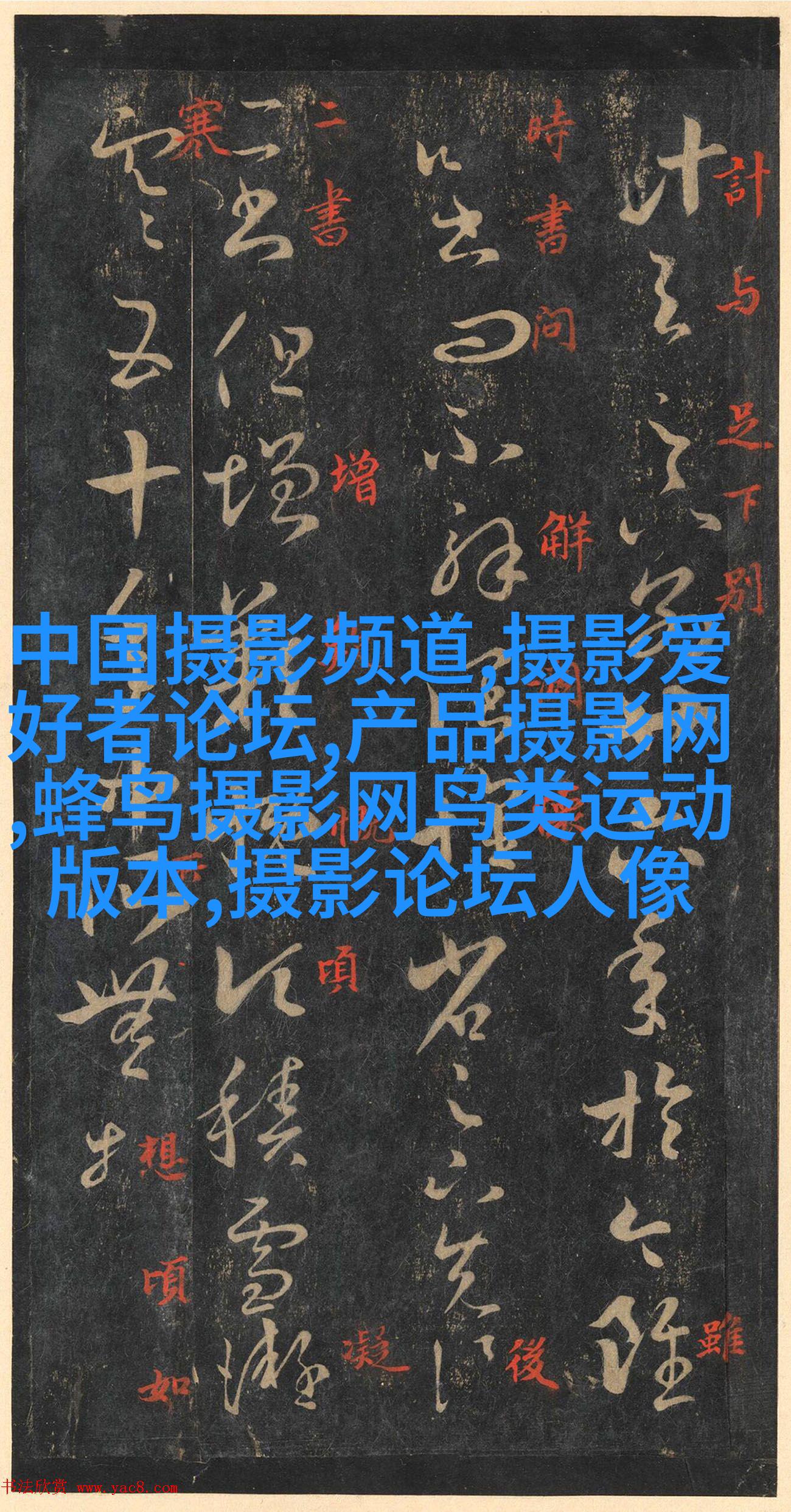 温州男人纽约开摄影室
