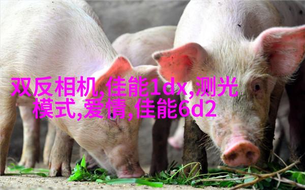教你如何拍出美少女写真的陌生感