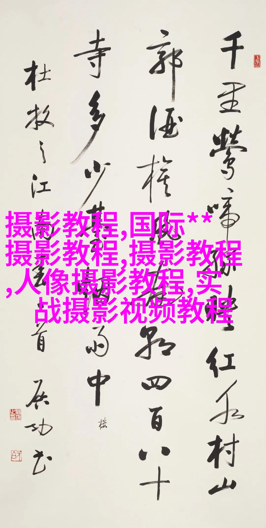 初学者如何快速提高自身的摄影水平