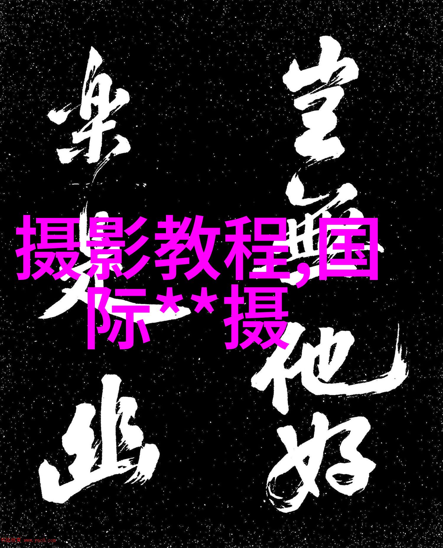 初学者如何快速提高自身的摄影水平