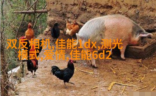 教你如何拍出美少女写真的陌生感