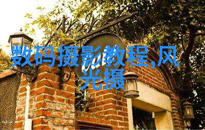 人像摄影艺术(拍摄技巧后期处理名家作品推荐)