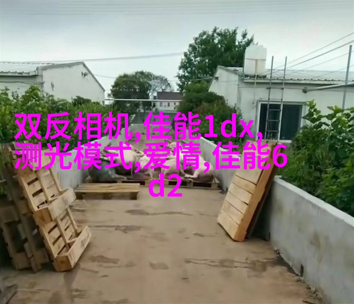 教你如何拍出美少女写真的陌生感