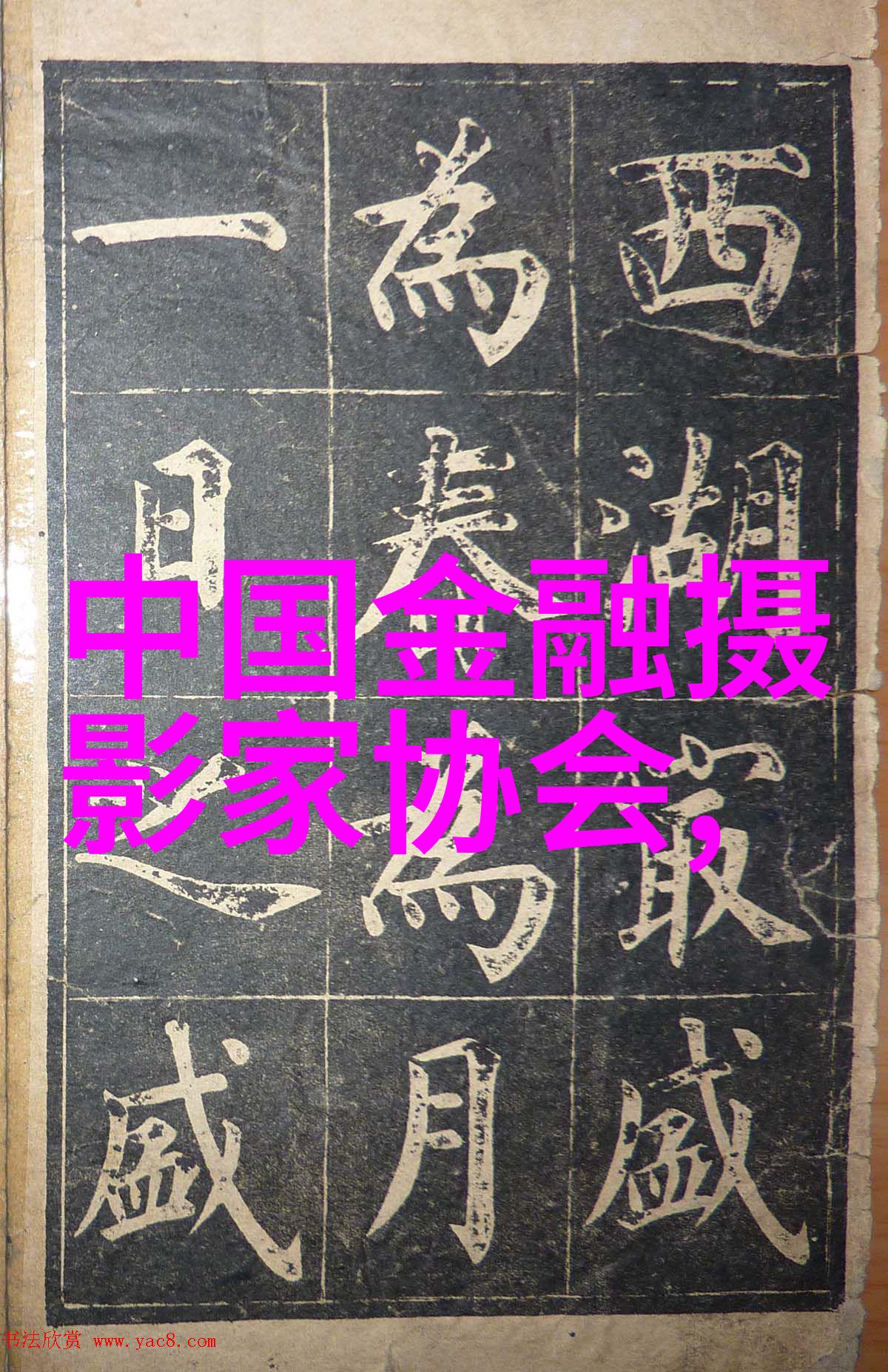 辽宁沈阳两对新人在家教家风展拍特色婚纱照