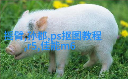 教你拍人像怎样摆姿势好看