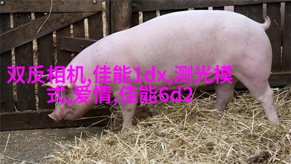 教你如何拍出美少女写真的陌生感
