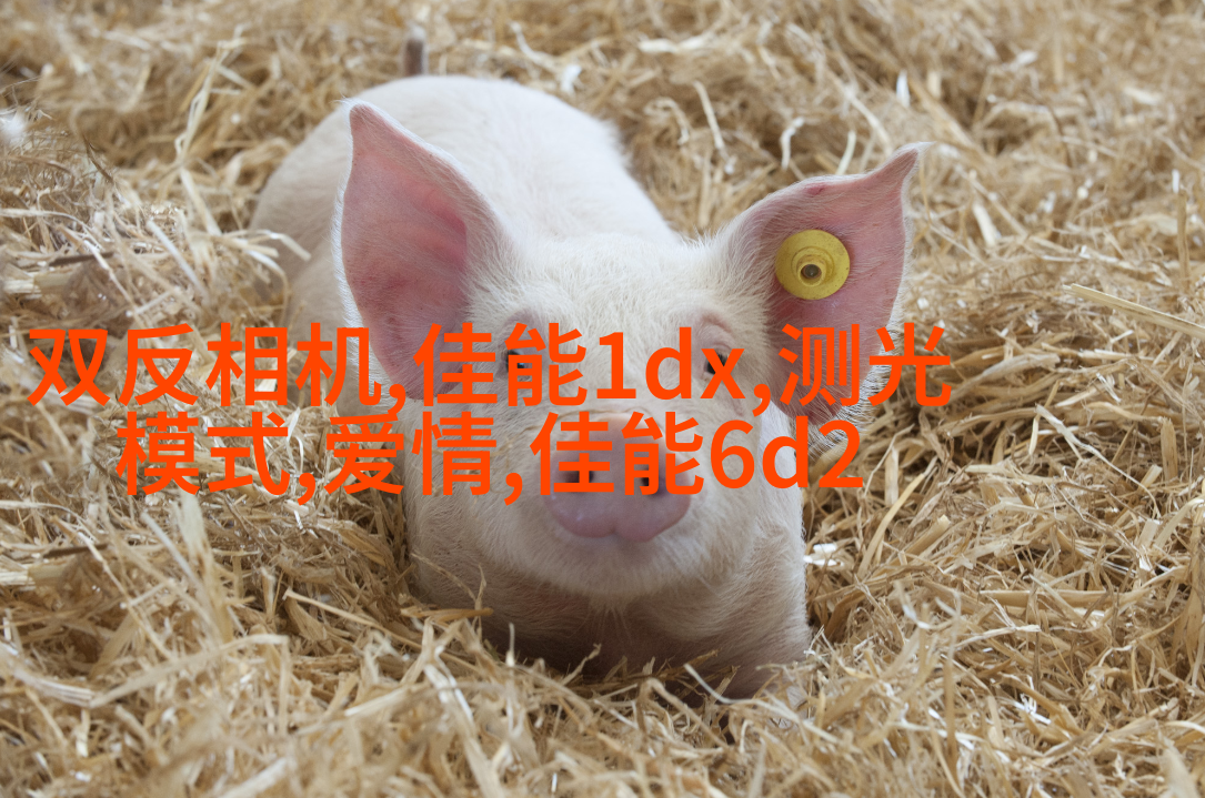 教你如何拍出美少女写真的陌生感