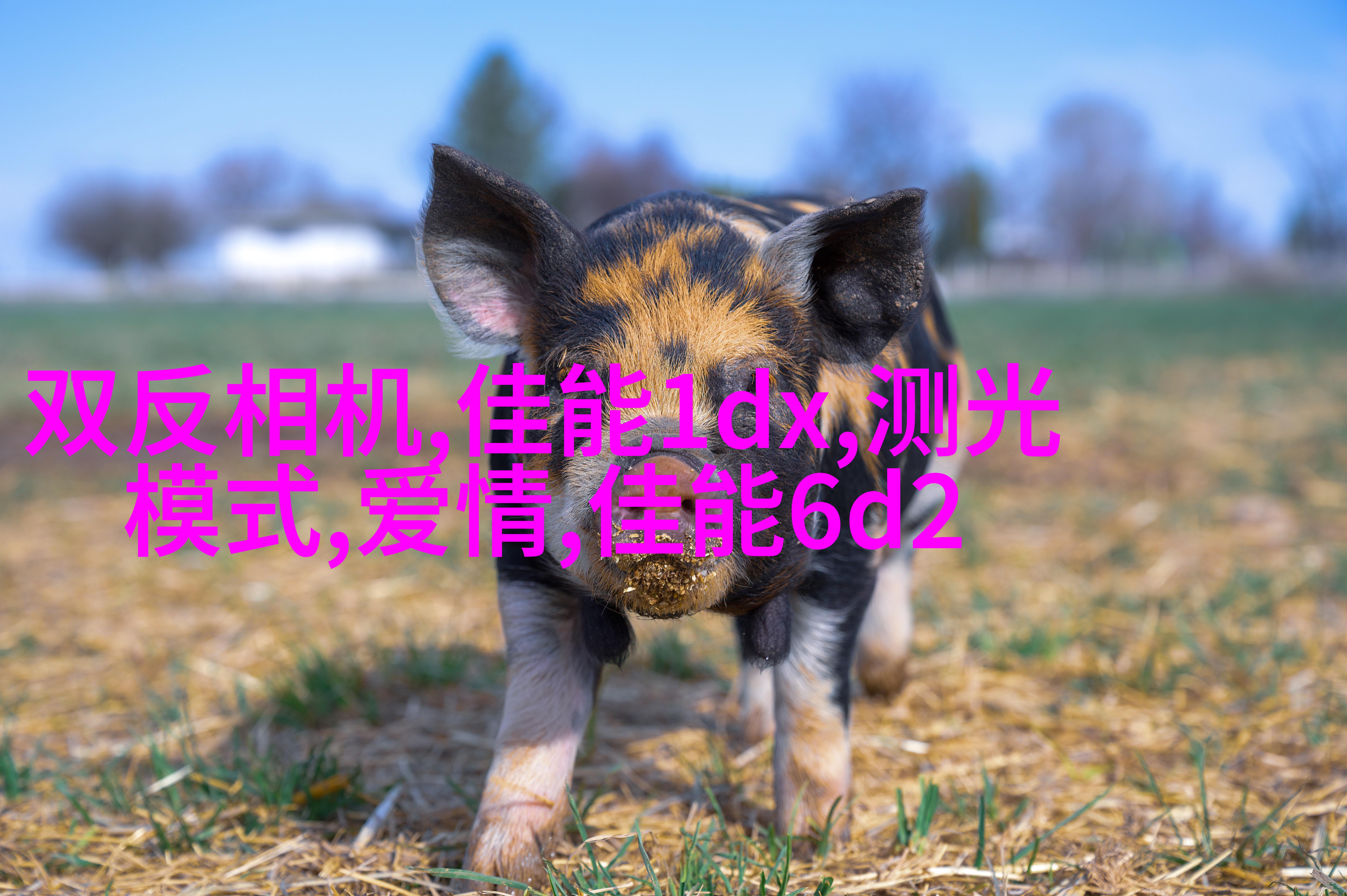 教你如何拍出美少女写真的陌生感