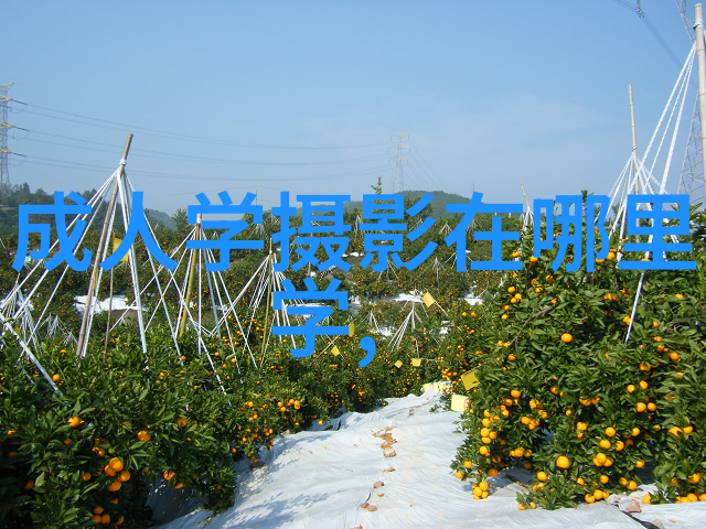 美国Blink新型摄影工作室