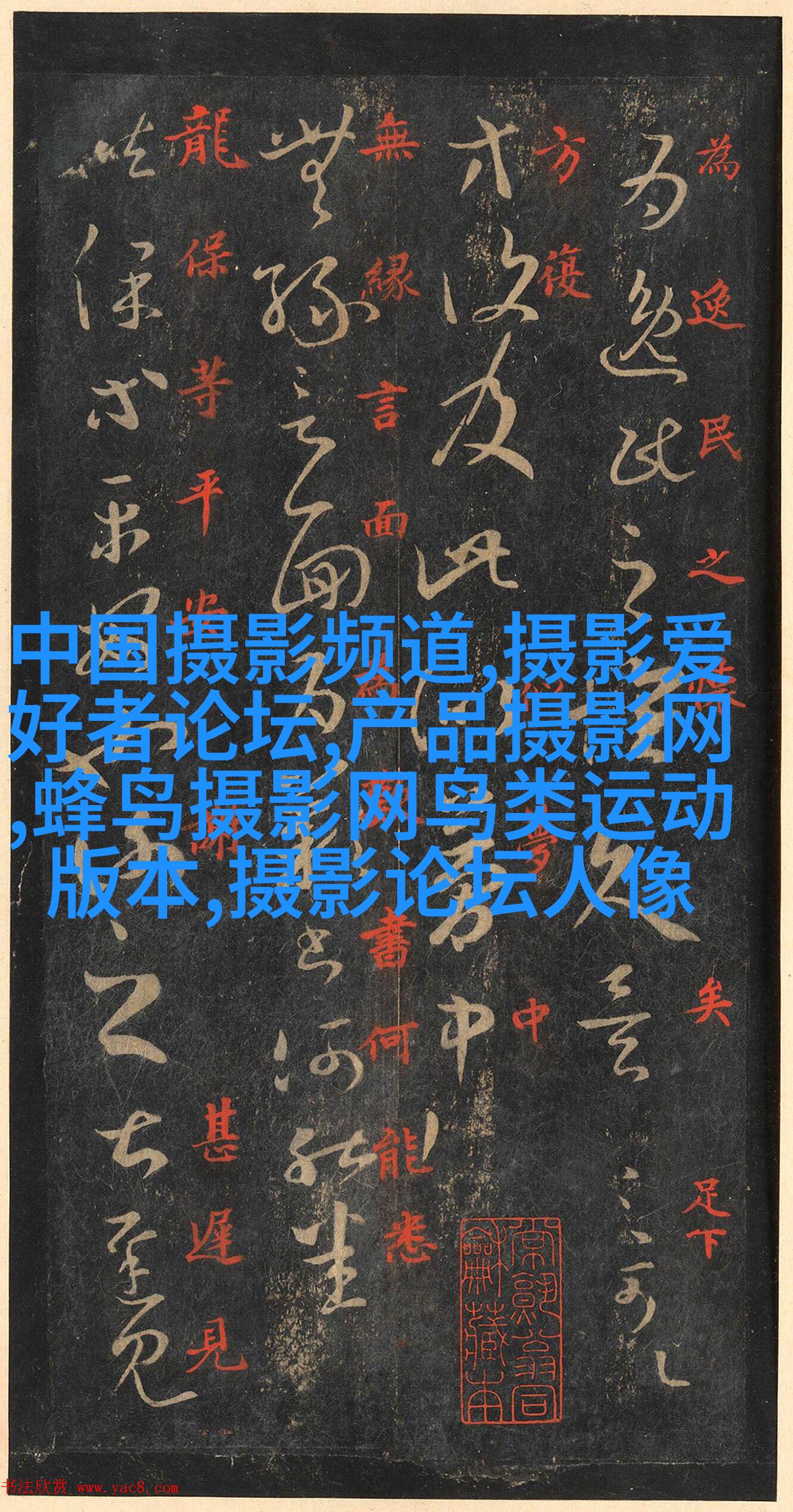 温州男人纽约开摄影室