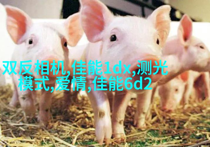 教你如何拍出美少女写真的陌生感