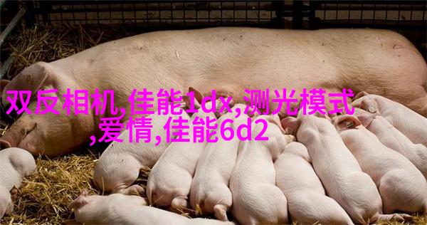教你如何拍出美少女写真的陌生感