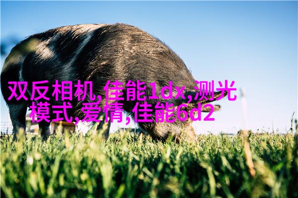 教你如何拍出美少女写真的陌生感