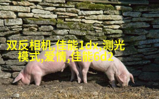 教你如何拍出美少女写真的陌生感