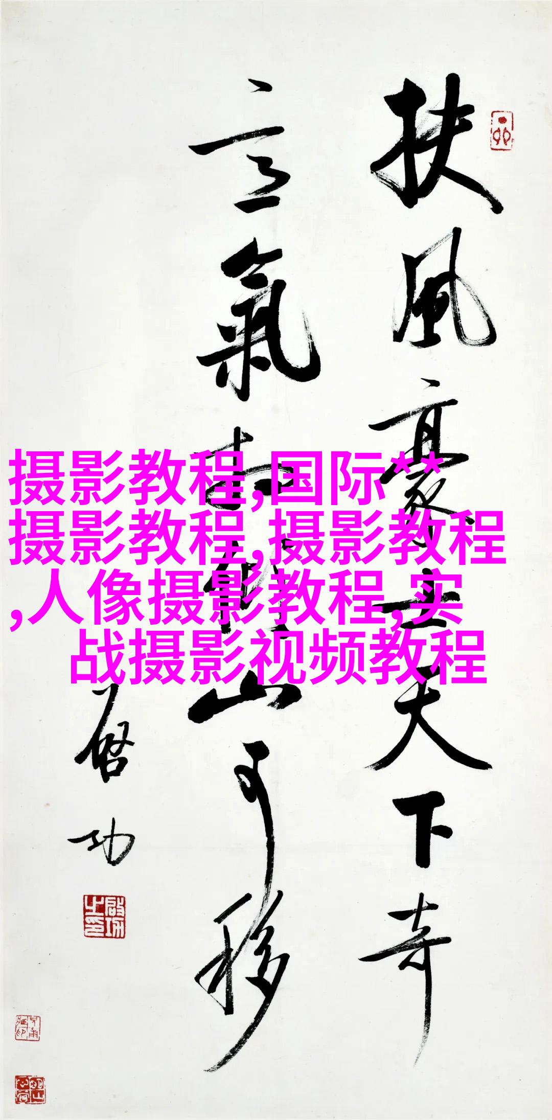 初学者如何快速提高自身的摄影水平